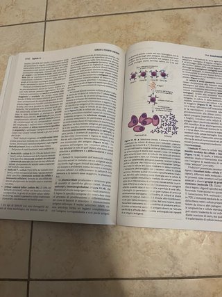 Istologia con elementi di anatomia microscopica
