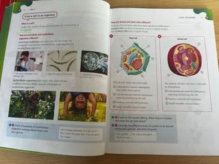Natural Science, 3 Primary, Outside the Box, ByMe