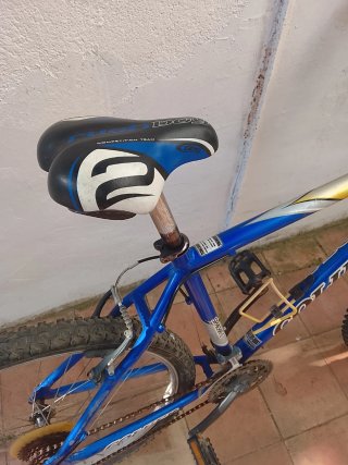 Bicicleta de Montaña