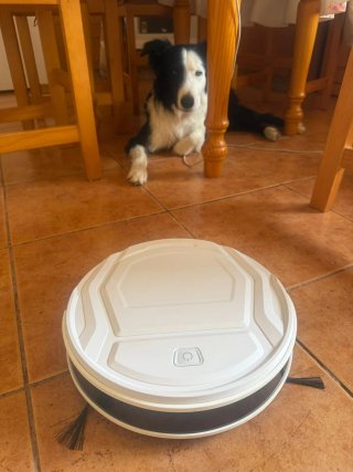 Robot aspirador