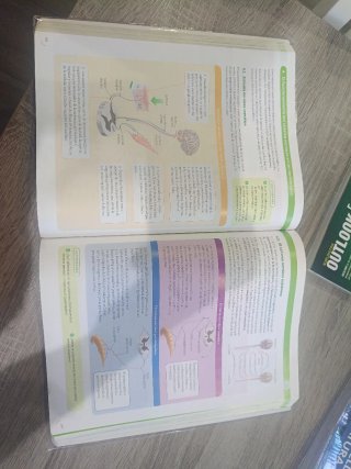 Biología, Geología y Ciencias Ambientales 1 Bac...