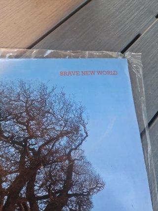 Pink Floyd Brave New World LP