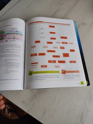 Biology and Geology, Secondary 4