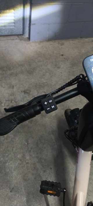 Bicicleta eléctrica