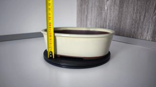 Maceta bonsai cerámica japonesa beige