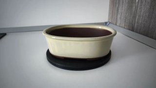 Maceta bonsai cerámica japonesa beige