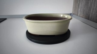 Maceta bonsai cerámica japonesa beige