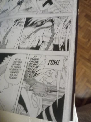 Manga Naruto 08