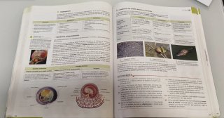Biología, Geología y Ciencias Ambientales 1o Ba...