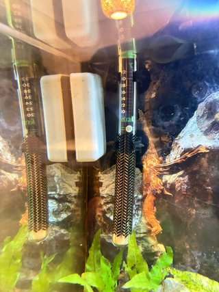 Acuario 100L ica Acualed 100L Agua Dulce