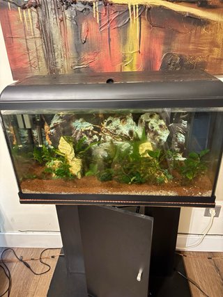 Acuario 100L ica Acualed 100L Agua Dulce