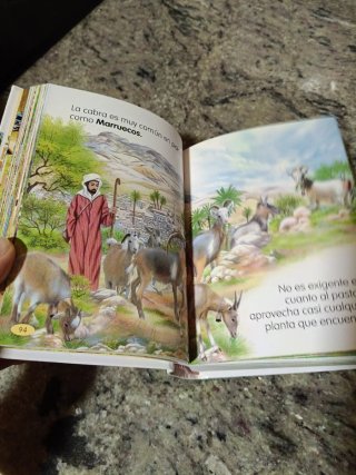 LIBRO ANIMALES