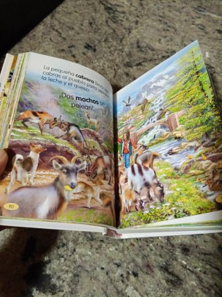 LIBRO ANIMALES