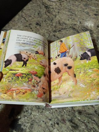 LIBRO ANIMALES