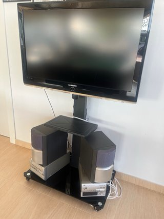 Soporte TV con ruedas + tv + equipo sonido