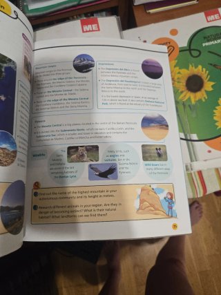 Social Science 4 Primary 4