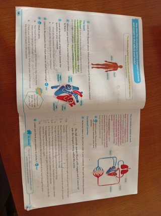 CLIL World Natural Sciences 5. Class Book