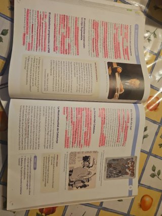 Història, 4 ESO, Projecte Construint mons