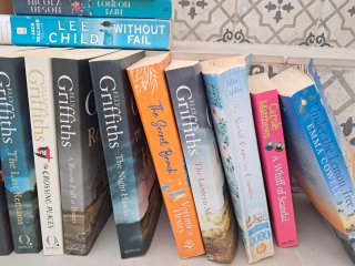 English novels, 31 various. Great Summer reading!