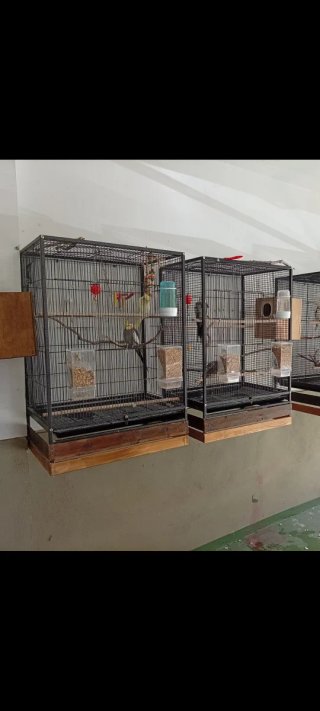 Jaula para pájaros grande