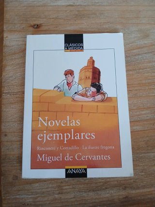 Novelas ejemplares