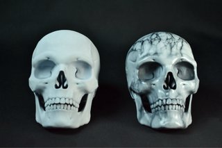 Cráneo Mármol Blanco | Escultura Decorativa