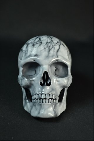 Cráneo Mármol Blanco | Escultura Decorativa