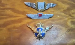 Insignias de aviación civil