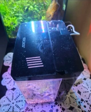 Pecera 6L completa