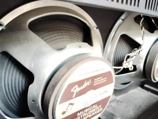 Amplificador Fender Champion 100