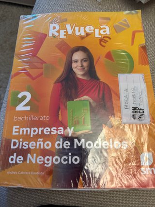 Empresas y diseño de modelos de negocio 2 bachi...