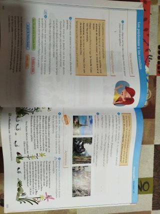 3 libros de Lengua 4° primaria