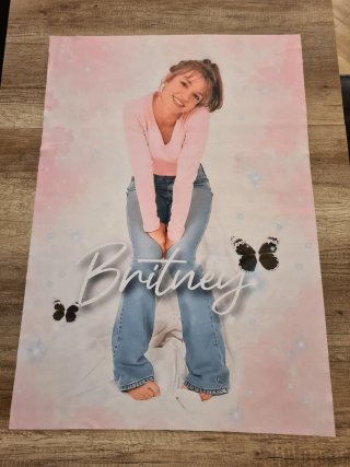 Póster Tela Britney Spears 70x100cm Baby