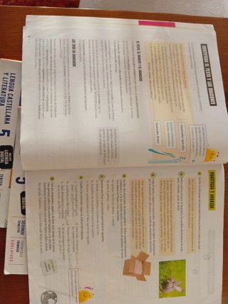 Lengua Castellana y Literatura 5, Tercer Ciclo ...
