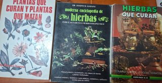 Medicinas naturales Plantas y hiervas q curar