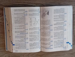 Diccionario de Primaria