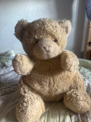 Oso de peluche suave