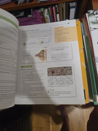 Biología y geología 3 ESO serie Observa