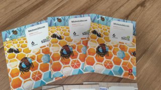 Libros 6 primaria Lengua y matemáticas SM