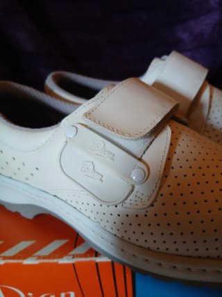 Zapatos Sanitarios Profesionales DIAN Premier.