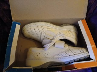 Zapatos Sanitarios Profesionales DIAN Premier.