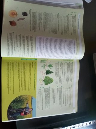 Biología, Geología y Ciencias Ambientales 1 Bac...