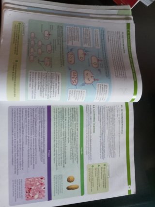Biología, Geología y Ciencias Ambientales 1 Bac...