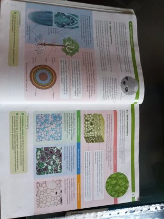 Biología, Geología y Ciencias Ambientales 1 Bac...