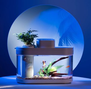 Acuario Eversoc Desgeo C180