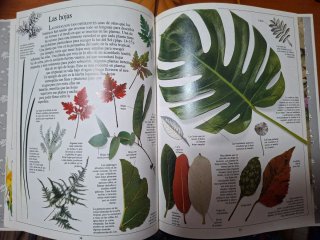 Libros salud el secreto de las plantas