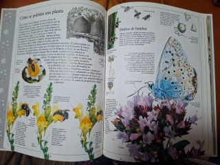 Libros salud el secreto de las plantas