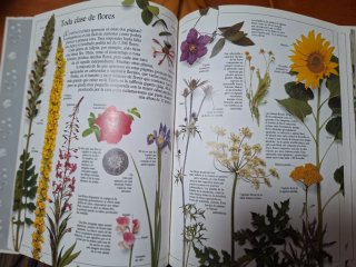 Libros salud el secreto de las plantas