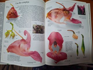 Libros salud el secreto de las plantas