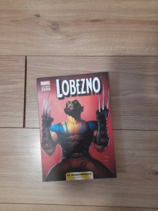 Colección marvel del año 2000